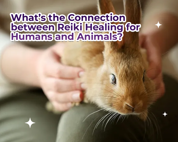 The Remarkable Connection between Reiki Healing for Humans and Animals